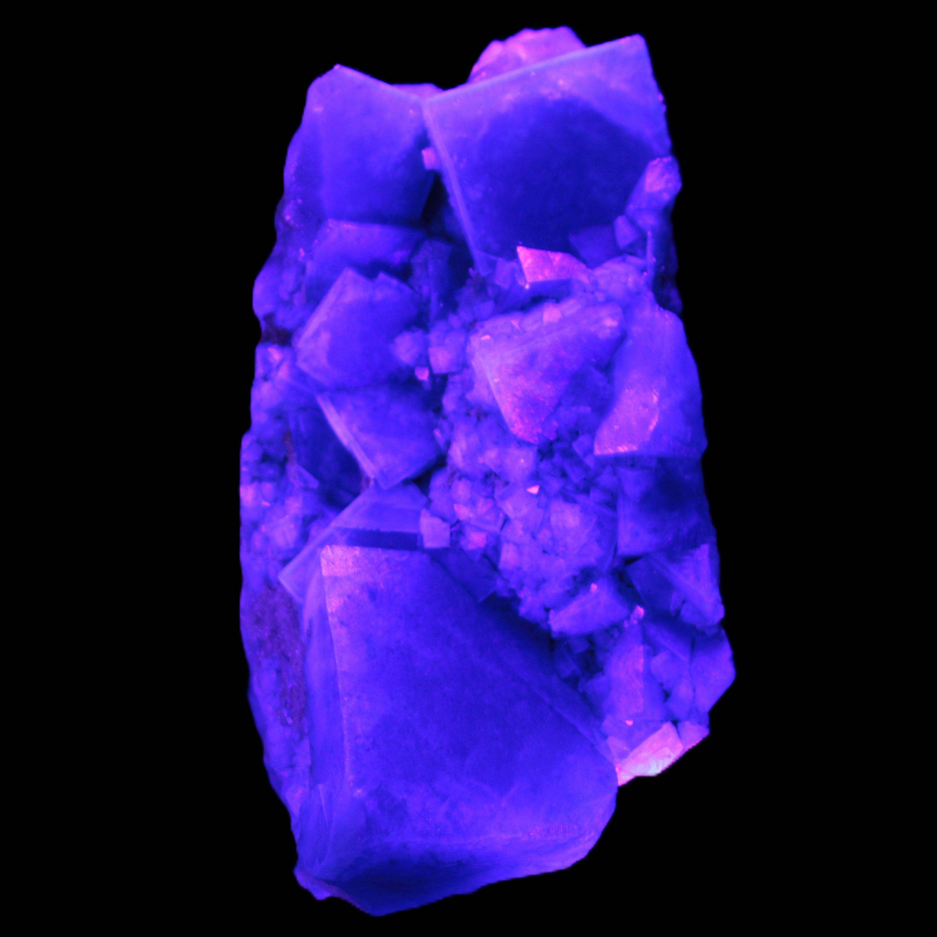 Green Fluorite cubic crystal cluster 130*100*50mm 1365g in UV light - Rocks and Things Store