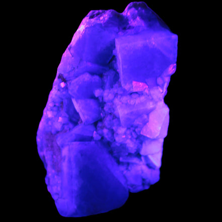 Green Fluorite cubic crystal cluster 130*100*50mm 1365g in UV light - Rocks and Things Store
