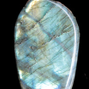 Labradorite 26*50*95mm 325g Rocks and Things Store