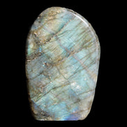 Labradorite 26*50*95mm 325g Rocks and Things Store