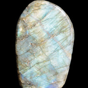 Labradorite 26*50*95mm 325g Rocks and Things Store
