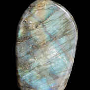 Labradorite 26*50*95mm 325g Rocks and Things Store
