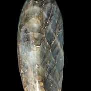 Labradorite 26*50*95mm 325g Rocks and Things Store