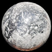 Huge Orthoceras sphere 165mm 6380g in sunlight - Rocks and Things Store