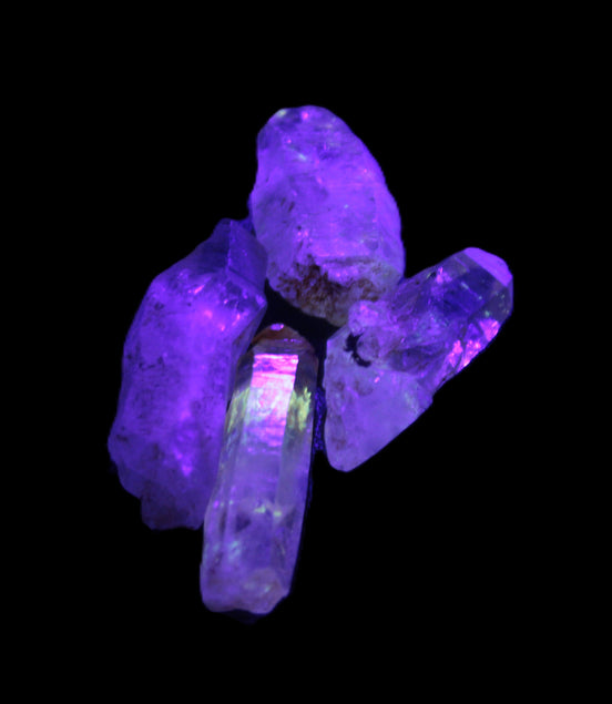 Fenster Enhydro Hydrocarbon 4 crystals 9-10g in UV light - Rocks and Things Store