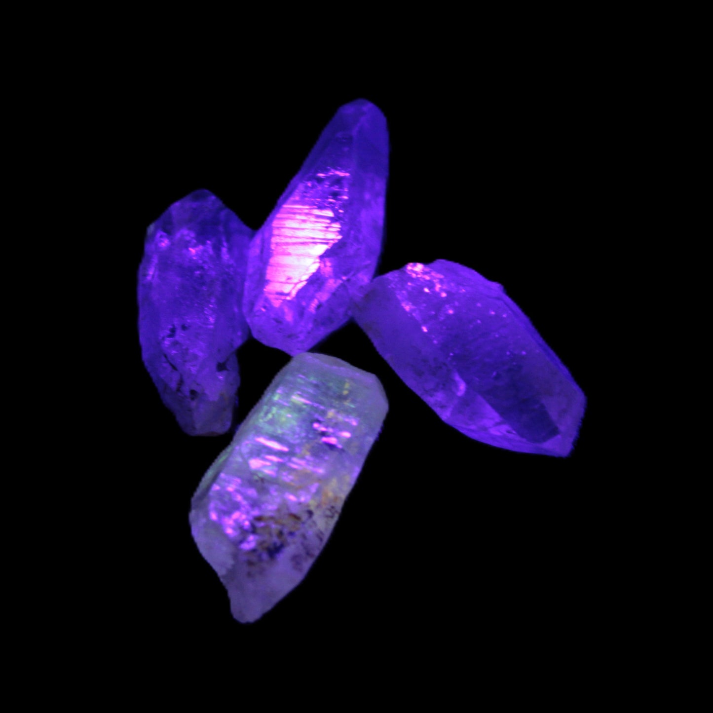 Fenster Enhydro Hydrocarbon 4 crystals 9-10g in UV light - Rocks and Things Store