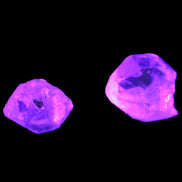 Herkimer Diamond Quartz 2/3 crystals 15-18g Rocks and Things Store