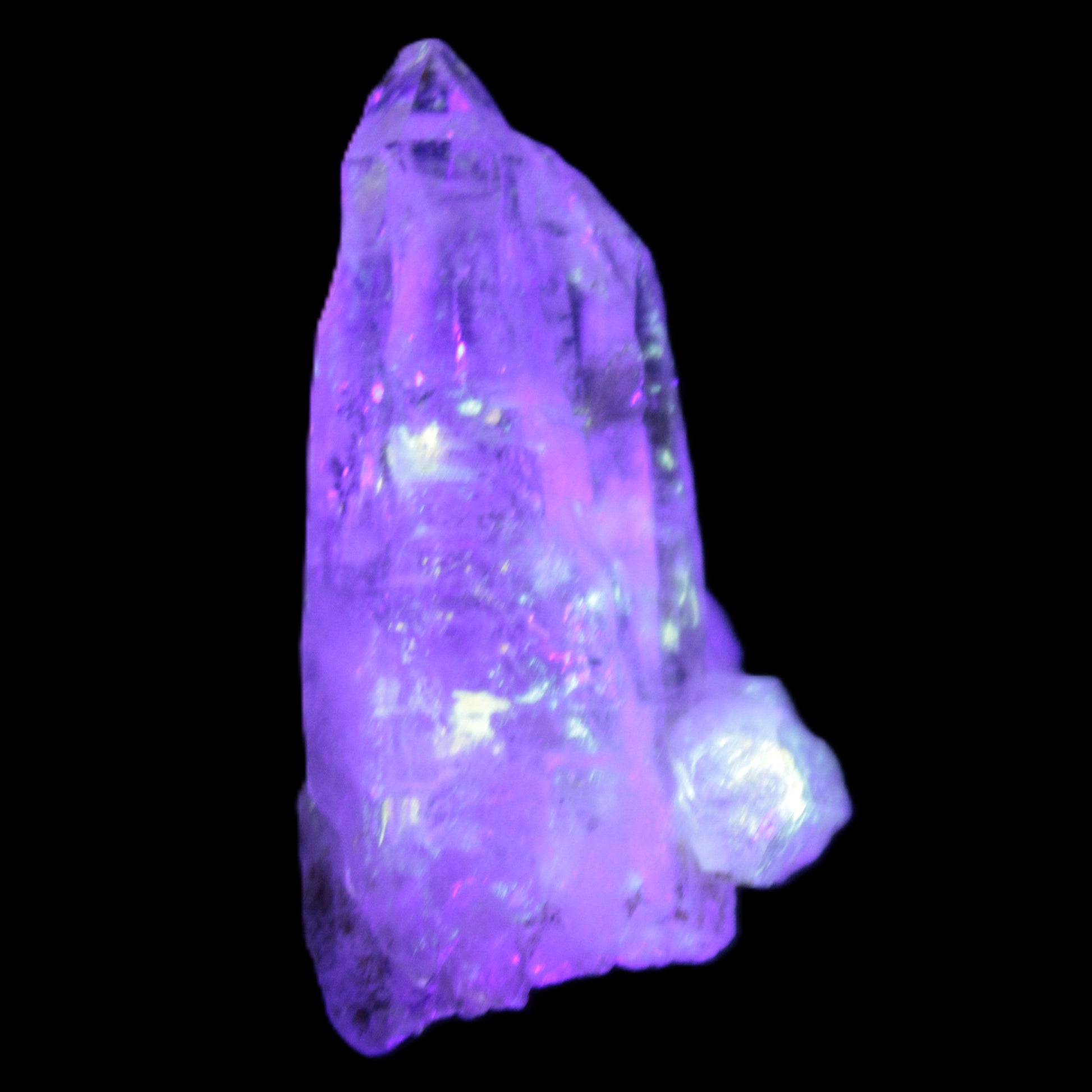 Fenster Diamond Quartz 47mm 25g in UV light - Rocks and Things Store
