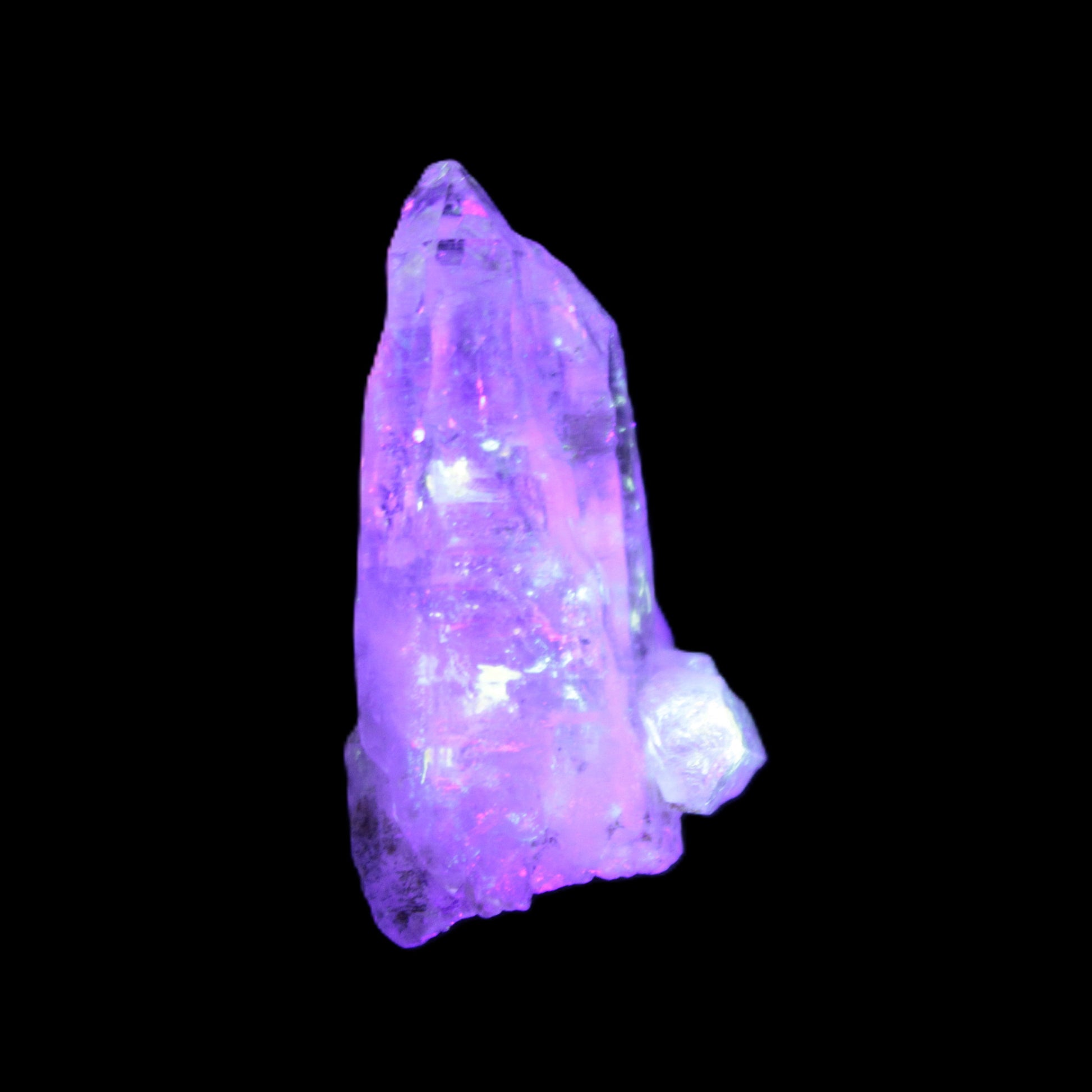 Fenster Diamond Quartz 47mm 25g in UV light - Rocks and Things Store