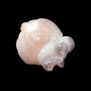 Panda Agate from Egypt 41*33*37mm 63g Rocks and Things Store