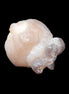 Panda Agate from Egypt 41*33*37mm 63g Rocks and Things Store