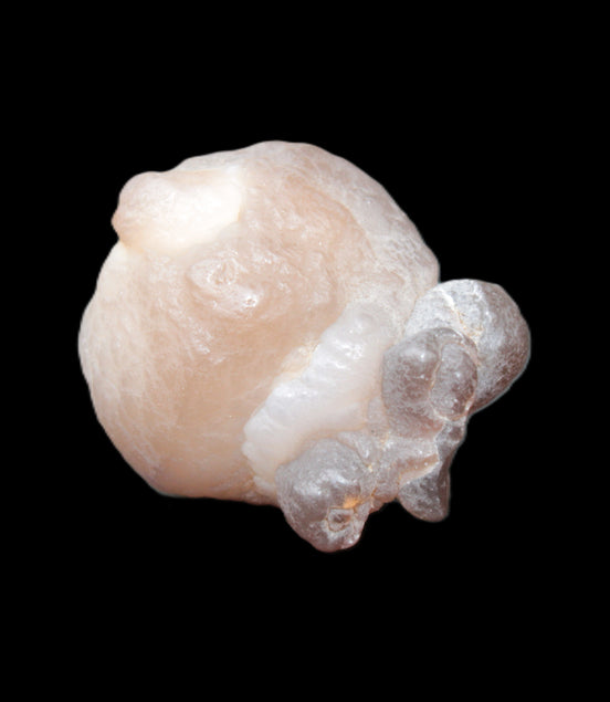 Panda Agate from Egypt 41*33*37mm 63g Rocks and Things Store