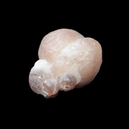 Panda Agate from Egypt 41*33*37mm 63g Rocks and Things Store