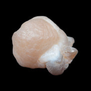 Panda Agate from Egypt 41*33*37mm 63g Rocks and Things Store