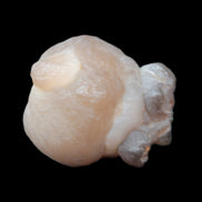 Panda Agate from Egypt 41*33*37mm 63g Rocks and Things Store