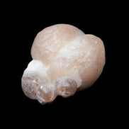 Panda Agate from Egypt 41*33*37mm 63g Rocks and Things Store