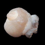 Panda Agate from Egypt 41*33*37mm 63g Rocks and Things Store