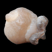 Panda Agate from Egypt 41*33*37mm 63g Rocks and Things Store