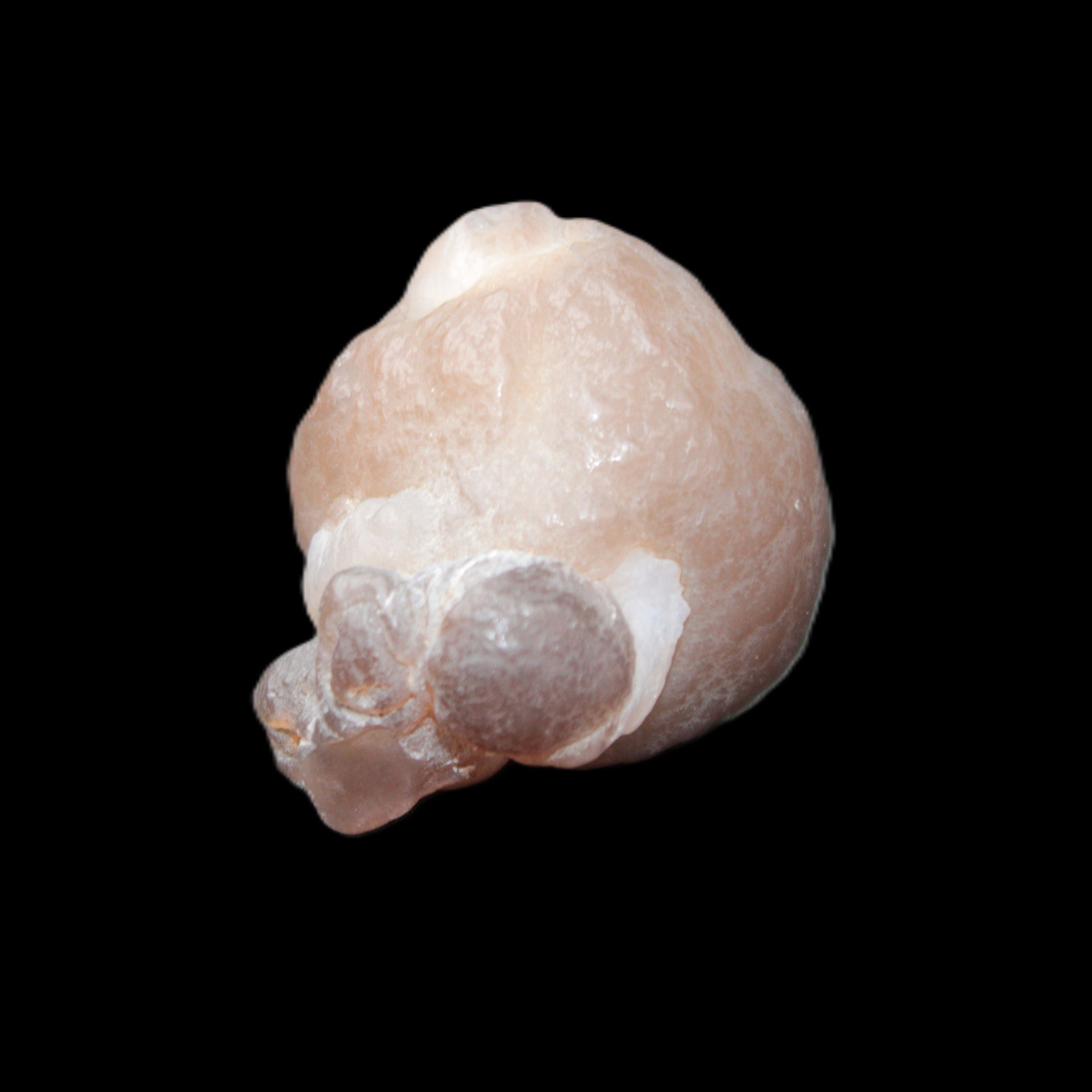 Panda Agate from Egypt 41*33*37mm 63g Rocks and Things Store