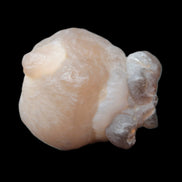 Panda Agate from Egypt 41*33*37mm 63g Rocks and Things Store