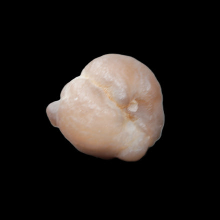Panda Agate from Egypt 41*33*37mm 63g Rocks and Things Store