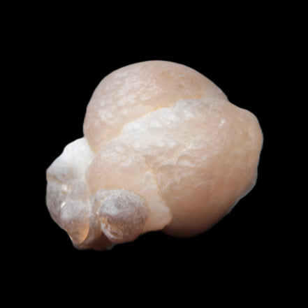 Panda Agate from Egypt 41*33*37mm 63g Rocks and Things Store