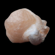 Panda Agate from Egypt 41*33*37mm 63g Rocks and Things Store