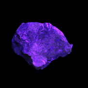 Atlantisite Stichtite specimen 35-45mm 12-24g in UV light - Rocks and Things Store