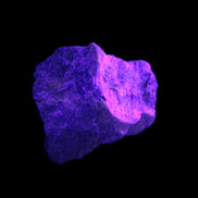 Atlantisite Stichtite specimen 35-45mm 12-24g in UV light - Rocks and Things Store