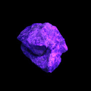 Atlantisite Stichtite specimen 35-45mm 12-24g in UV light - Rocks and Things Store