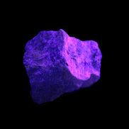 Atlantisite Stichtite specimen 35-45mm 12-24g in UV light - Rocks and Things Store