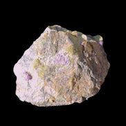 Atlantisite Stichtite specimen 35-45mm 12-24g Rocks and Things Store