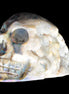 Sphalerite hand-carved skull 69*106*64mm 441g in sunlight - Rocks and Things Store