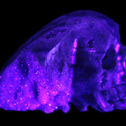Sphalerite hand-carved skull 69*106*64mm 441g in UV light - Rocks and Things Store