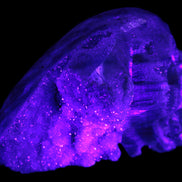 Sphalerite hand-carved skull 69*106*64mm 441g in UV light - Rocks and Things Store