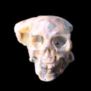 Sphalerite hand-carved skull 69*106*64mm 441g in sunlight - Rocks and Things Store