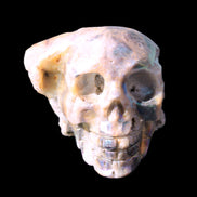 Sphalerite hand-carved skull 69*106*64mm 441g in sunlight - Rocks and Things Store