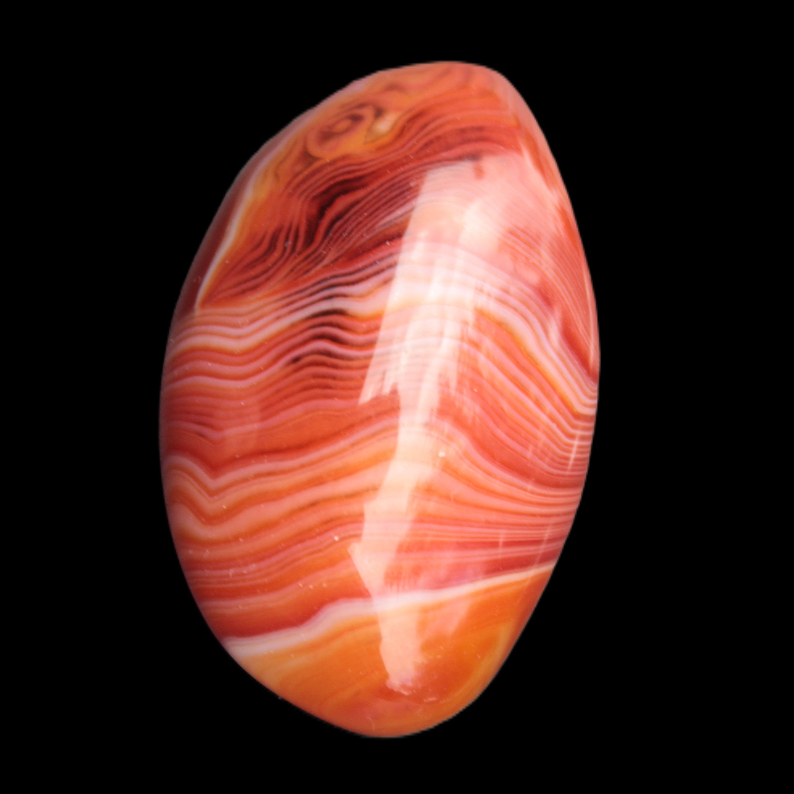 Crazy Lace Agate 53*33mm 52g -  Rocks and Things Store