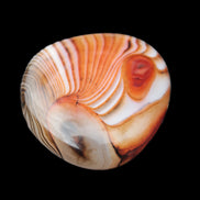 Crazy Lace Agate from Madagascar 46-65g in sunlight - Rocks and Things Store