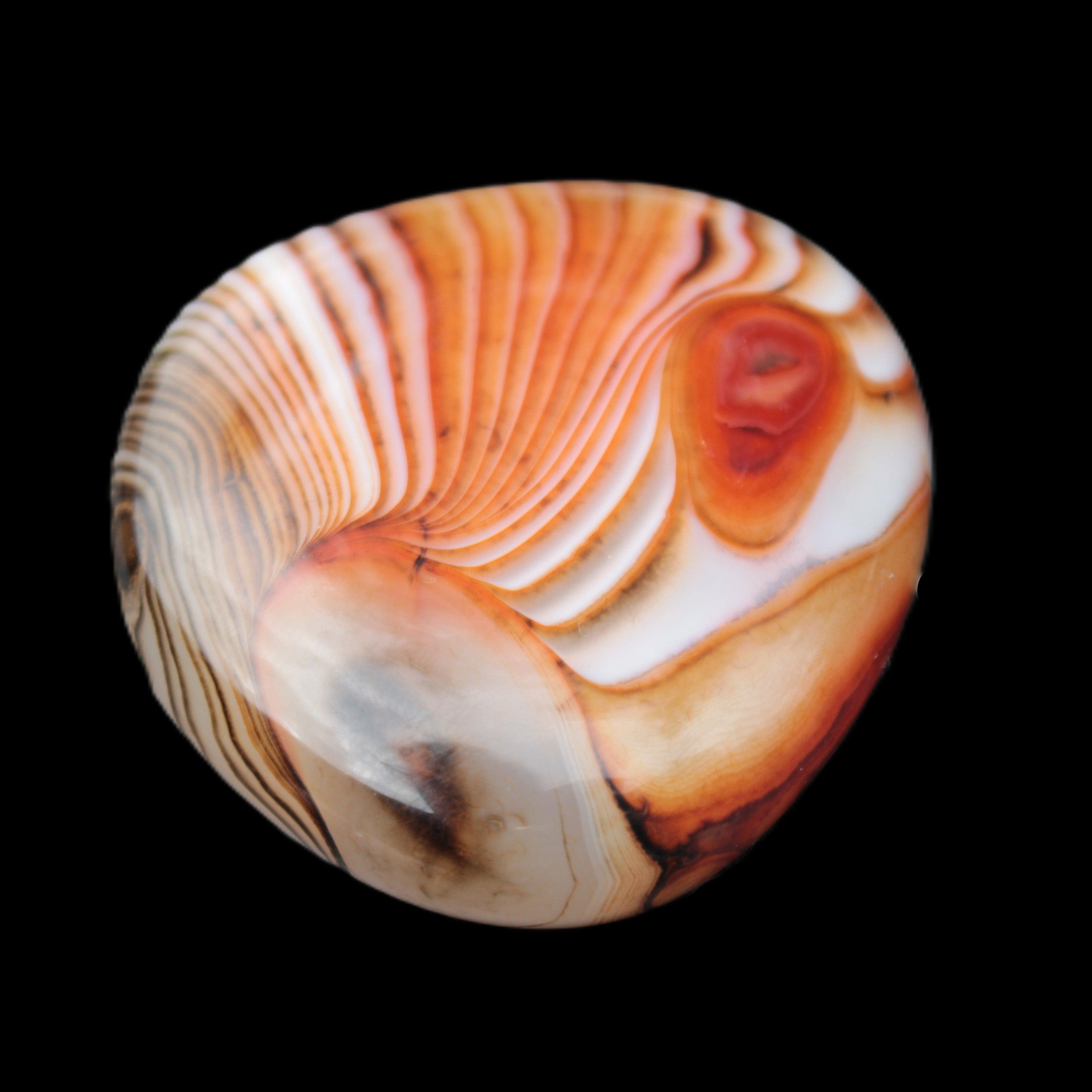 Crazy Lace Agate 44*43mm 58.6g -  Rocks and Things Store