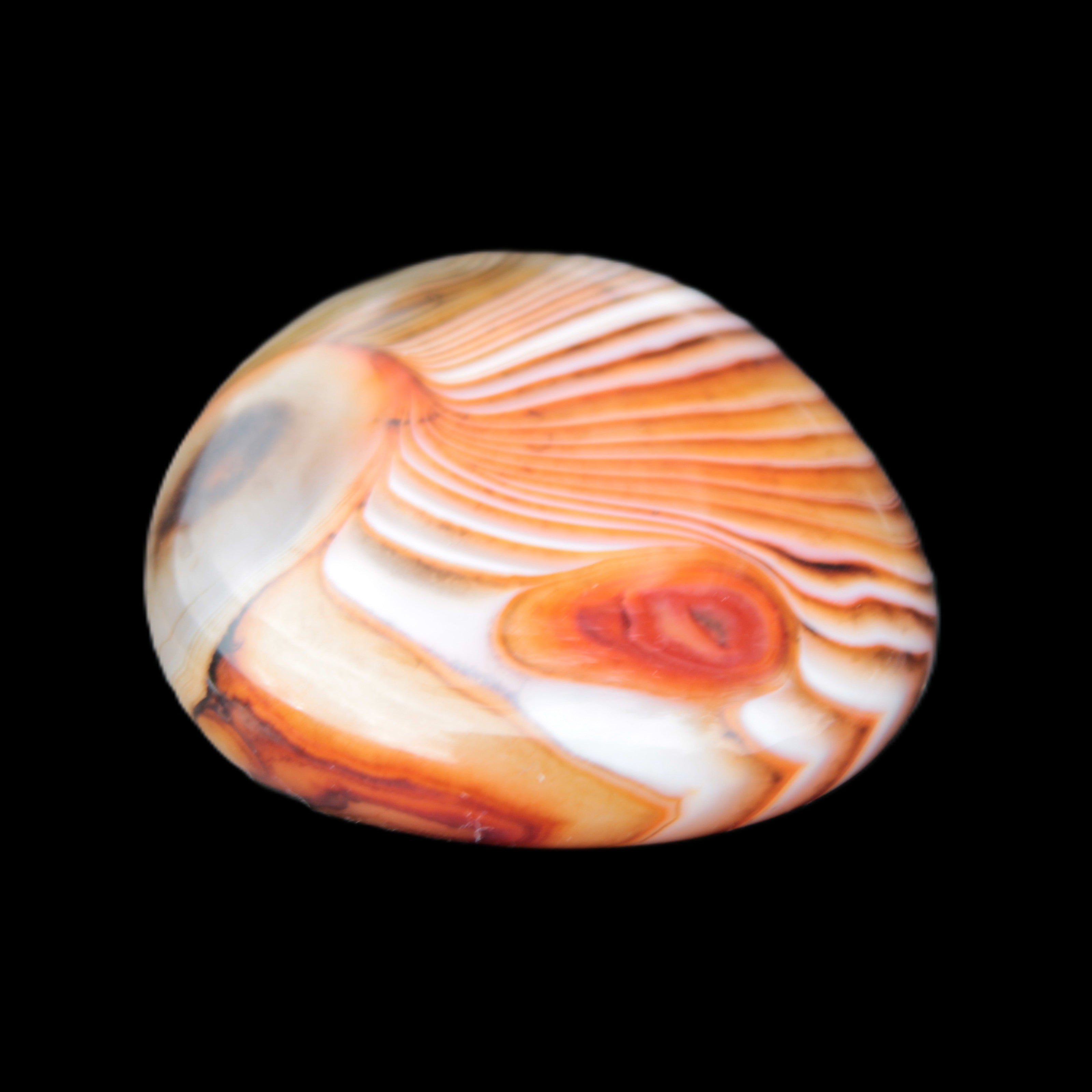 Crazy Lace Agate 44*43mm 58.6g -  Rocks and Things Store