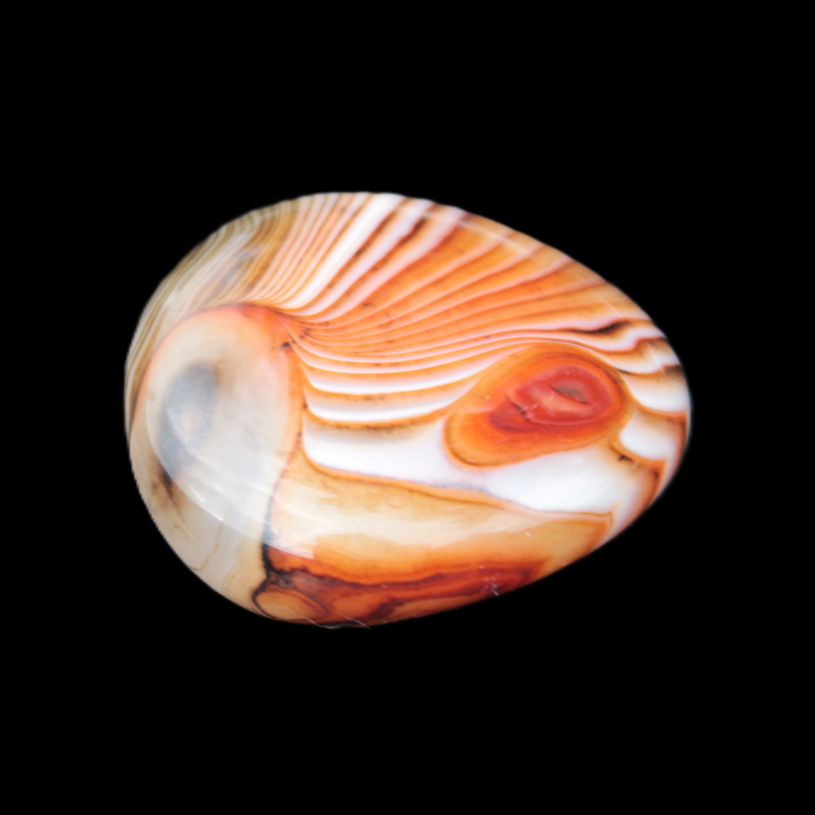Crazy Lace Agate 44*43mm 58.6g -  Rocks and Things Store