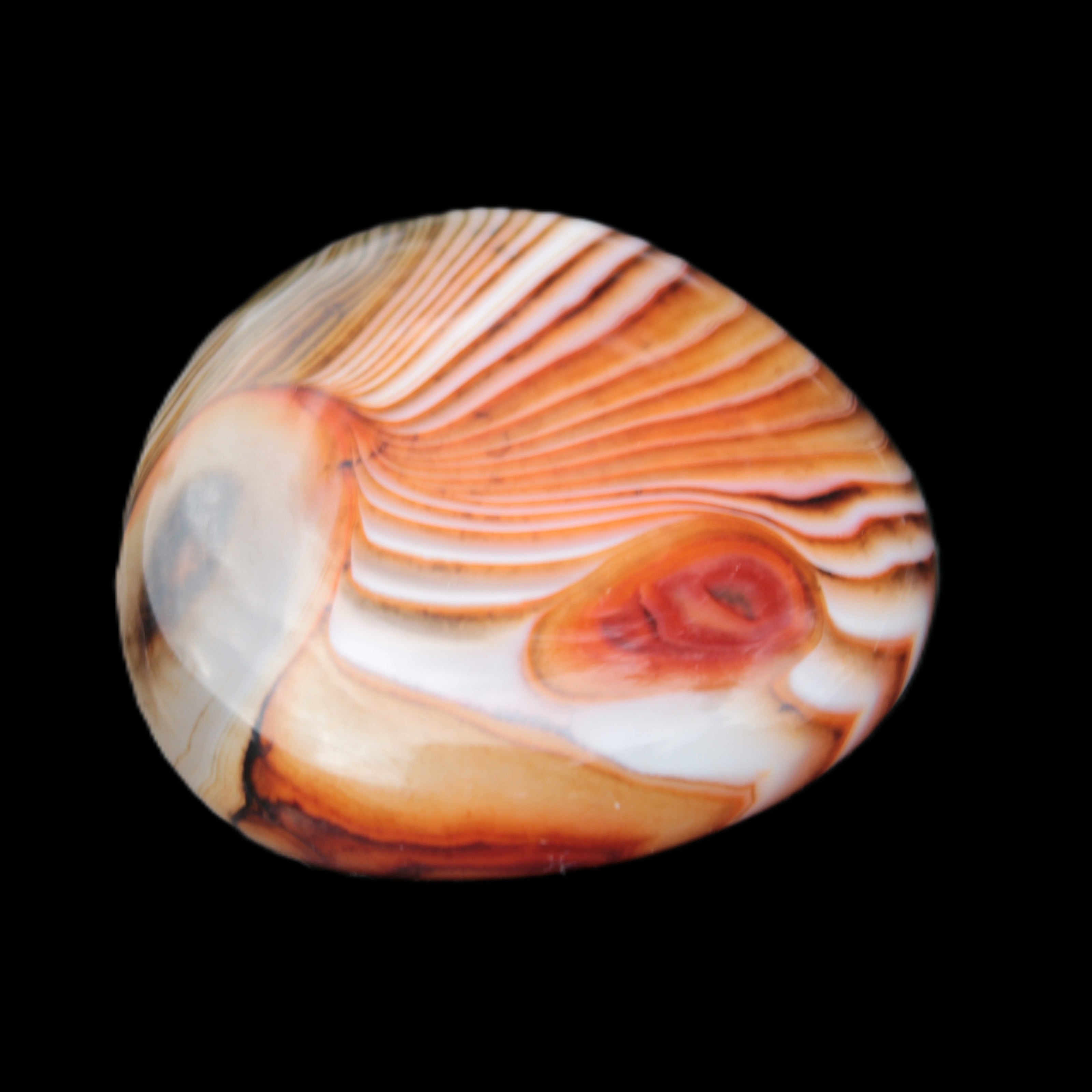 Crazy Lace Agate 44*43mm 58.6g -  Rocks and Things Store