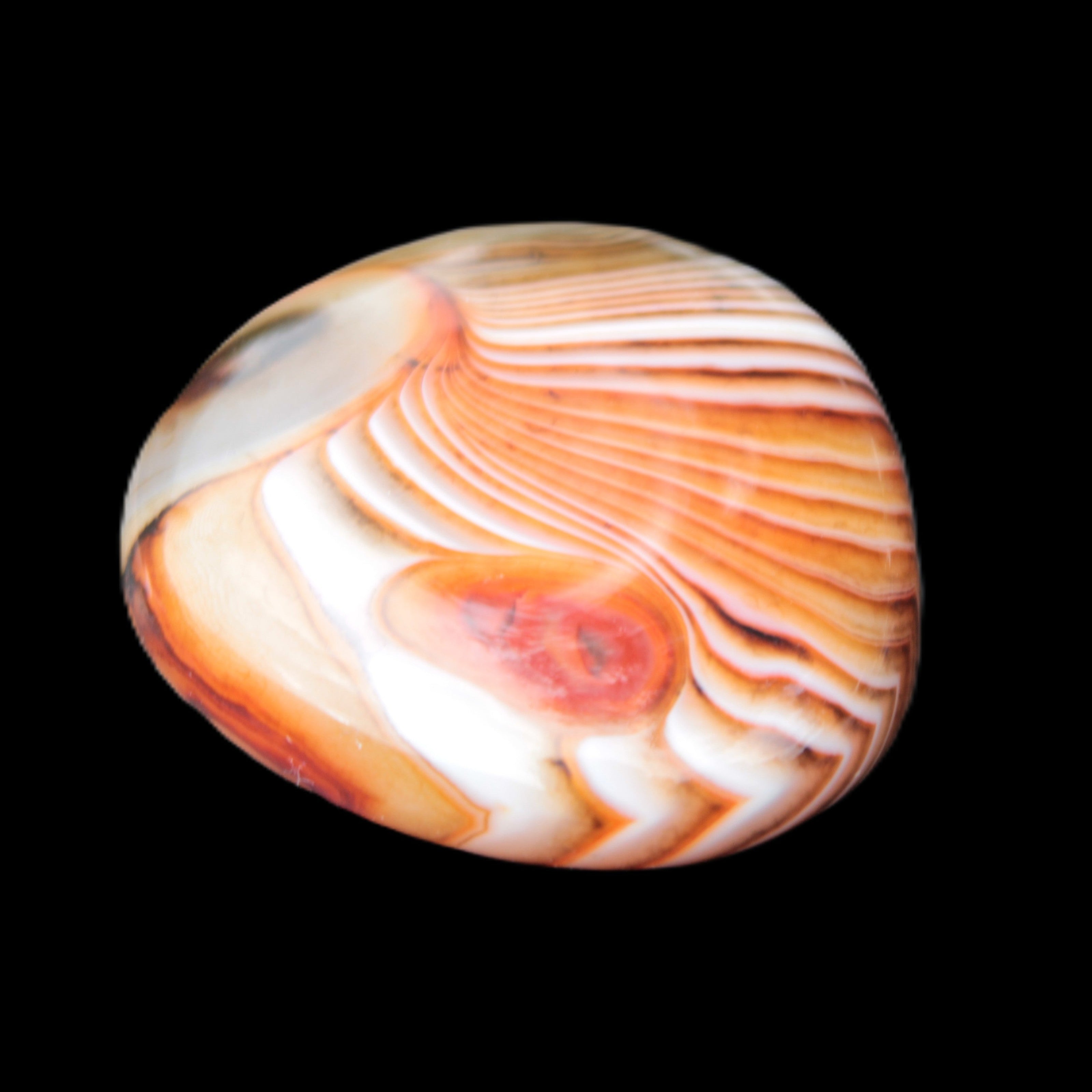 Crazy Lace Agate 44*43mm 58.6g -  Rocks and Things Store
