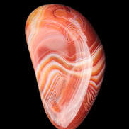 Crazy Lace Agate from Madagascar 46-65g in sunlight - Rocks and Things Store