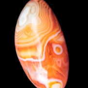 Crazy Lace Agate from Madagascar 46-65g in sunlight - Rocks and Things Store