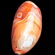 Crazy Lace Agate from Madagascar 46-65g in sunlight - Rocks and Things Store