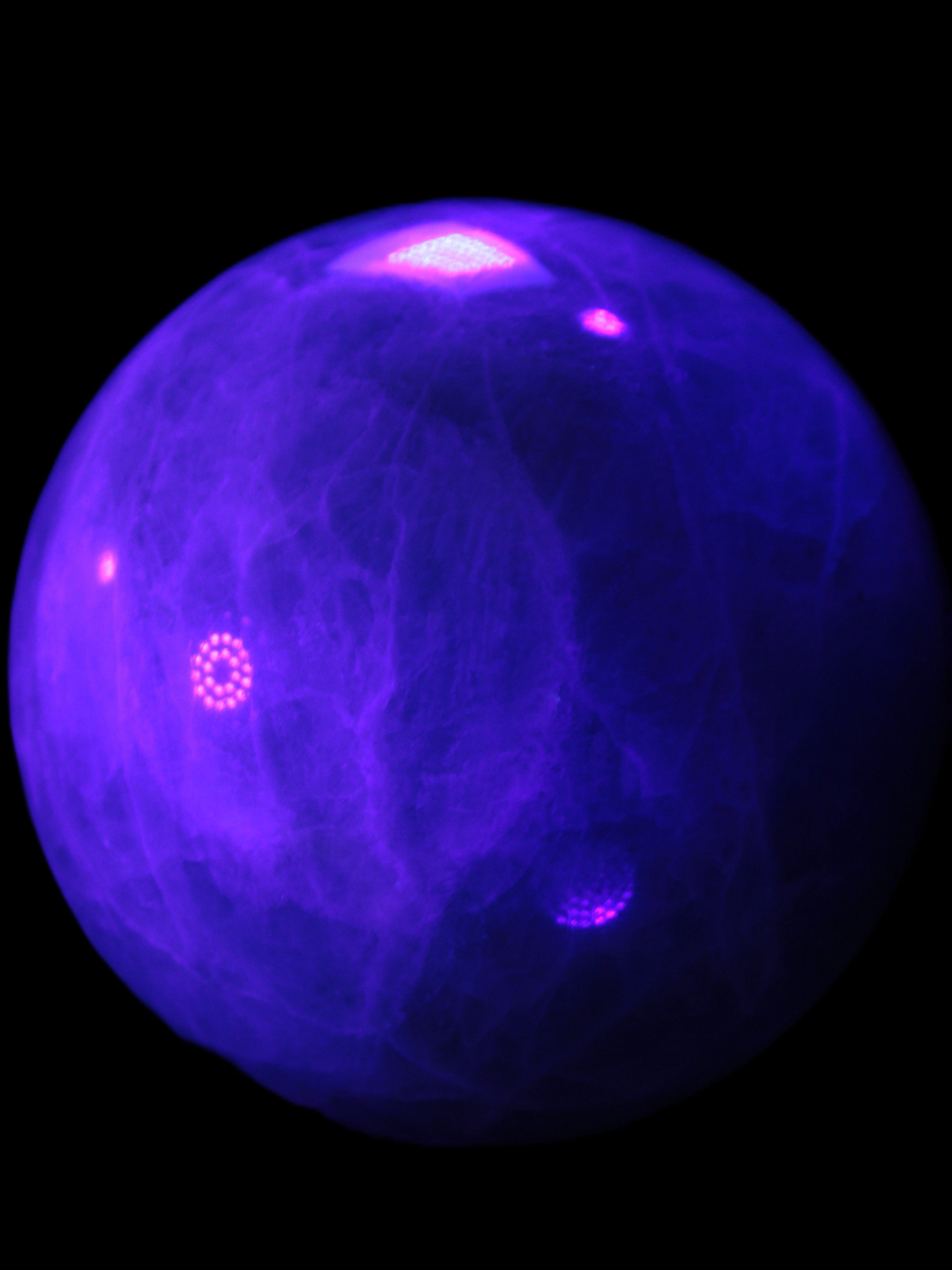 Green Fluorite sphere 108mm 2056g in UV light - Rocks and Things Store