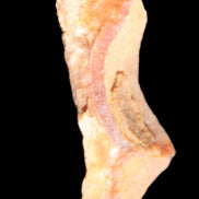 Pink Rhodochrosite crystal 60*23*10mm 27.6g Rocks and Things Store