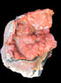Warring States Agate 62*38*32mm 81g - wet, in sunlight